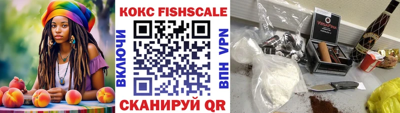 Купить закладки  Южно-Сухокумск  COCAIN 98% 